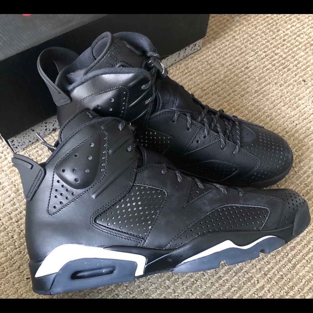 Nike Jordan black cat 6s